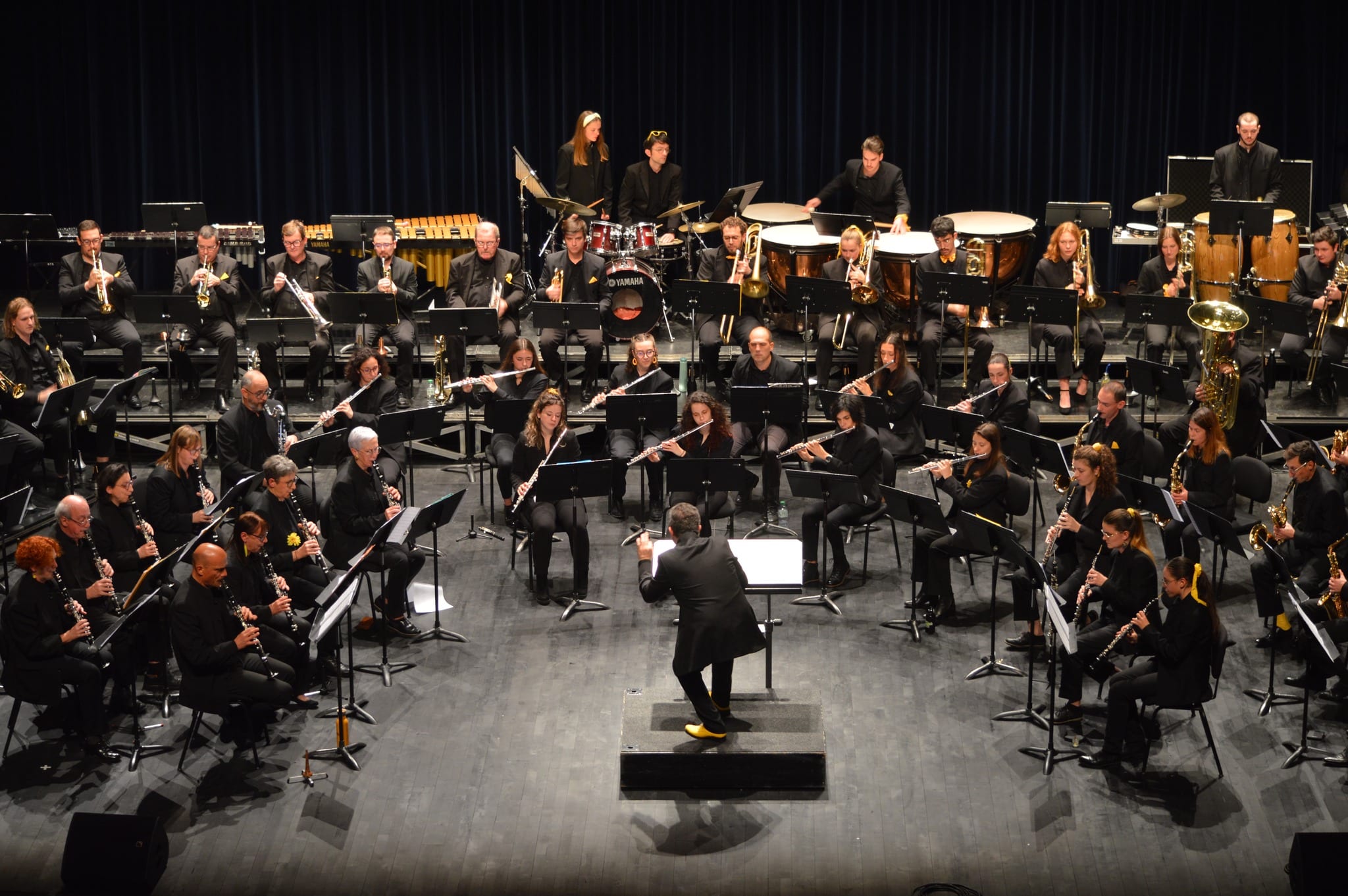 Photo concert d'hiver