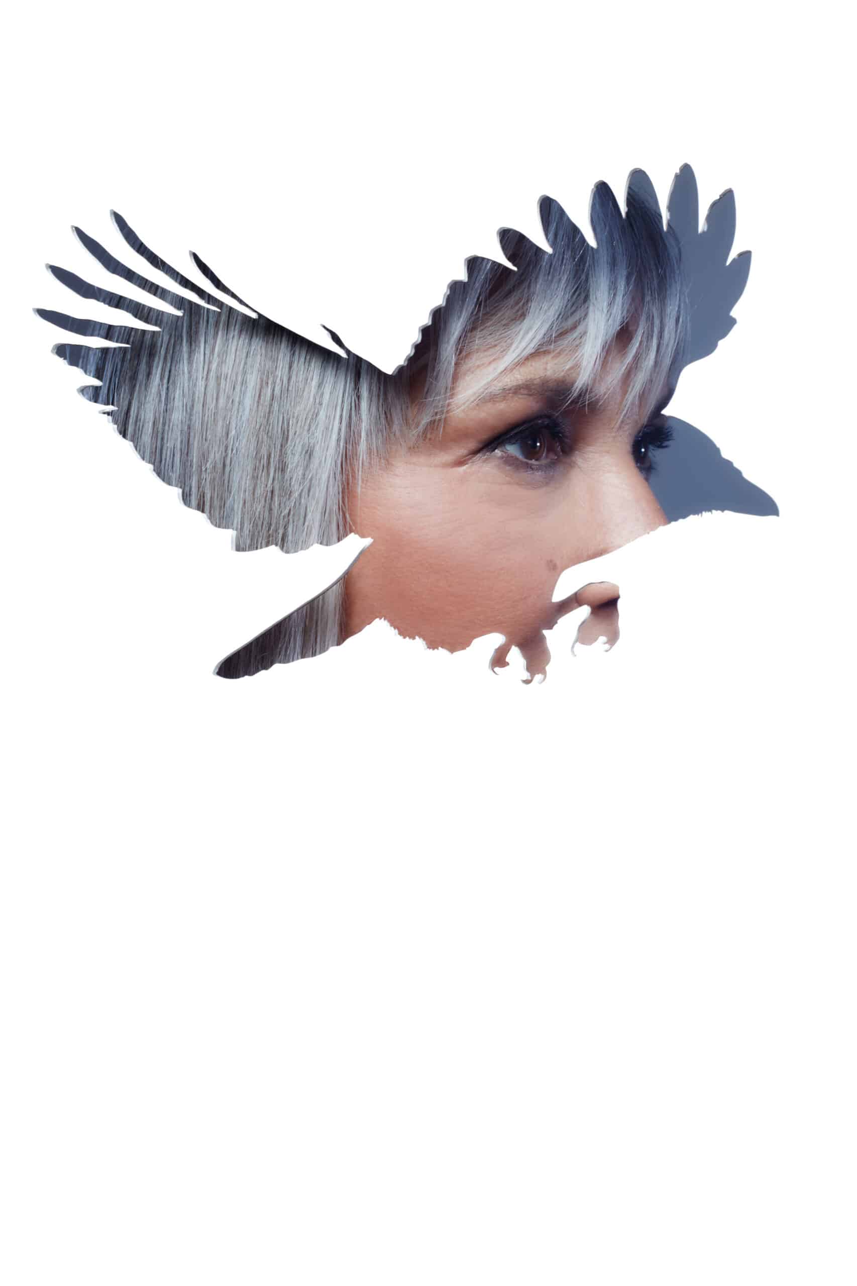 20.1 ZAZIE